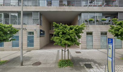 AFAGI - Alzheimerra duten Pertsonen Senide eta Lagunen Gipuzkoako Elkartea Donostia-San Sebastian